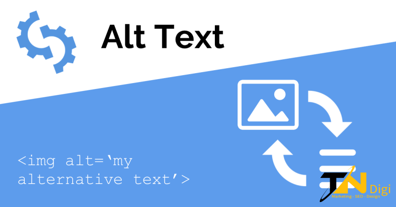 Cách sử dụng ALT text chuẩn - TNDigi Việt Nam