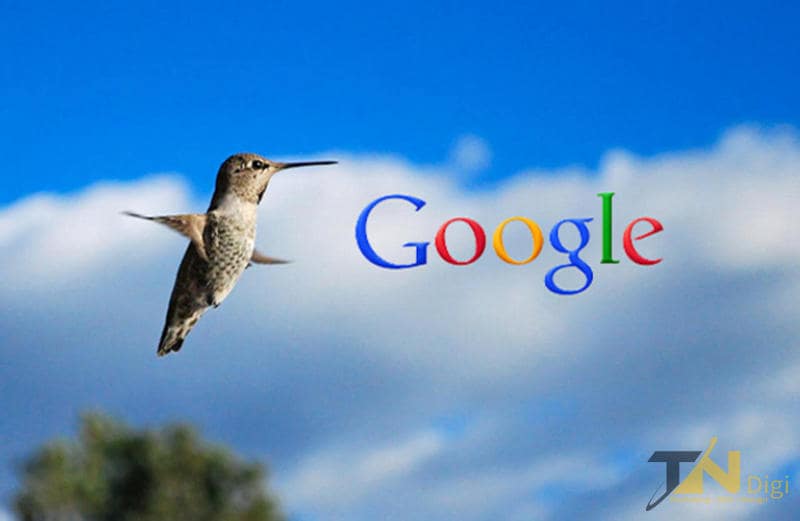 Thuật toán Google Hummingbird là gì - TNDigi Việt Nam