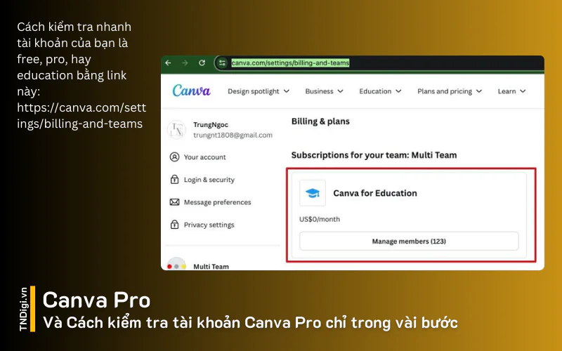 Cách kiểm tra tài khoản Canva Pro chỉ trong vài bước