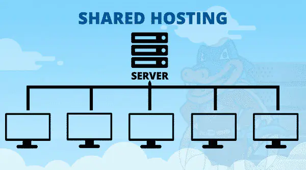 Có nên share hosting sử dụng cho nhiều website không