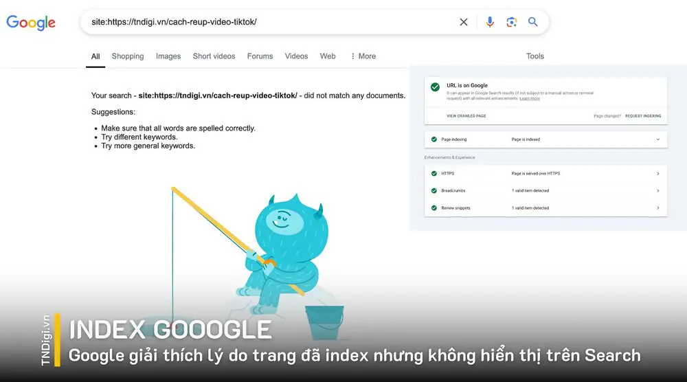 Google giải thích lý do trang đã index nhưng không hiển thị trên Search