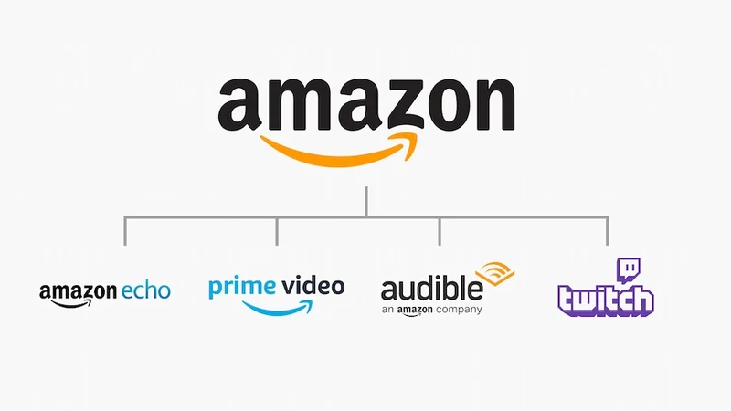 Kiến trúc thương hiệu trong chiến lược thương hiệu của amazon (ảnh: RG Strategic).