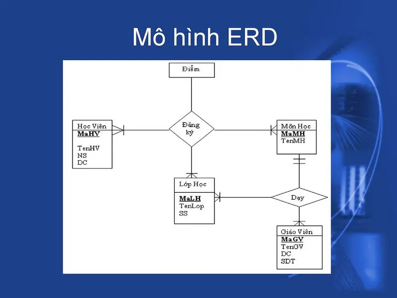 Mô hình ERD là gì?