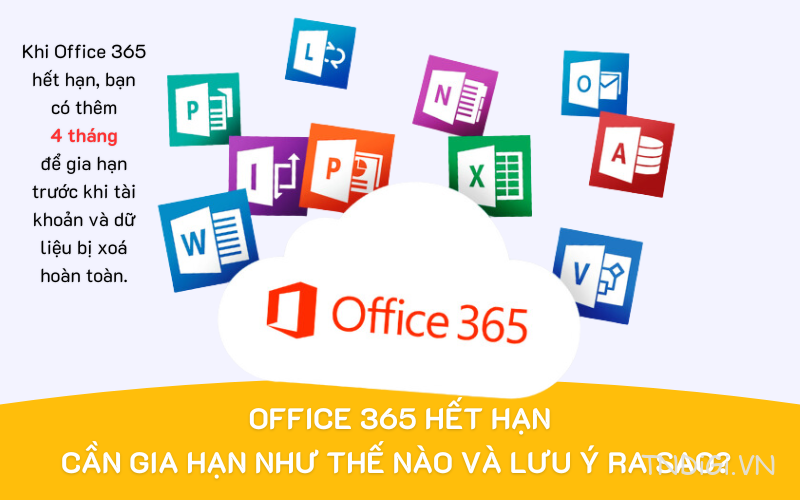 Office 365 hết hạn Cần gia hạn như thế nào và lưu ý ra sao