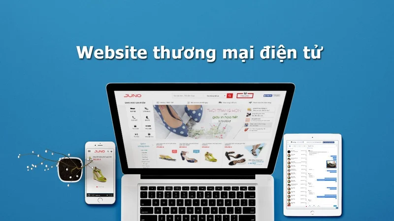 Thế nào được gọi là một trang web thương mại điện tử chuyên nghiệp?