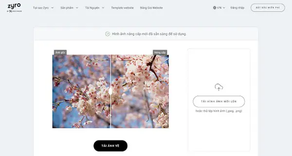 Website làm nét ảnh Zyro.com