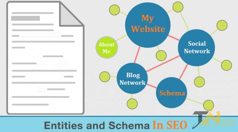 Entity SEO Link Building - TNDigi Việt Nam