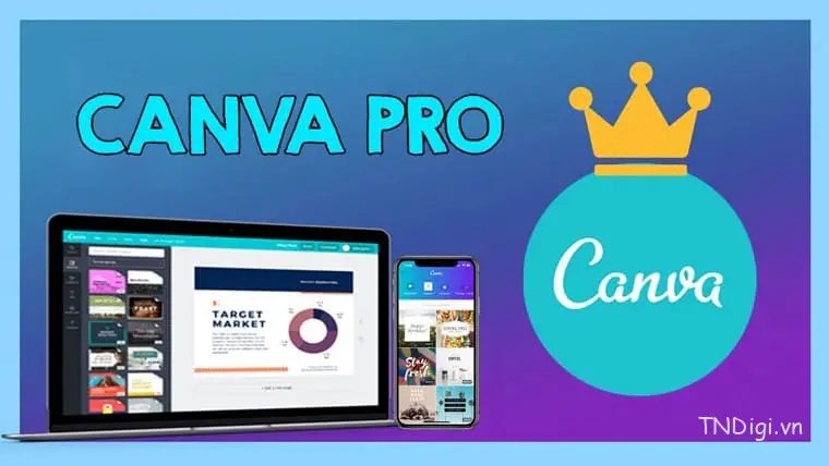 tai khoan canva pro